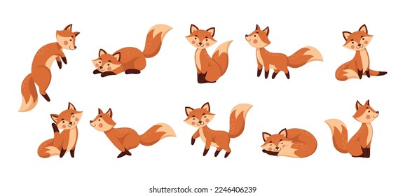 Cute cartoon fox, forest characters. Funny red animals, orange child beautiful mammal, wildlife persons. Cunning mascot in different poses. Wildlife creature. Vector illustration tidy set