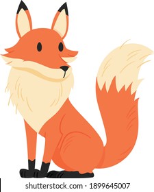 Cute cartoon fox Funny red fox collection.