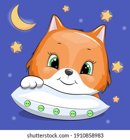 Cute cartoon fox with a pillow. Night vector illustration on blue background with stars and moon.