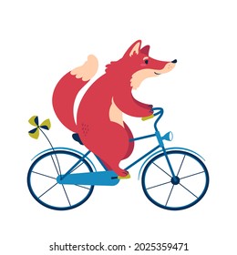 A cute cartoon fox riding a bicycle. Flat style illustration isolated on white background.