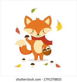 A cute cartoon fox in a scarf picks mushrooms. Autumn design for postcards.
