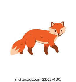 Cute cartoon fox is standing isolate on white background. Vector graphics.
