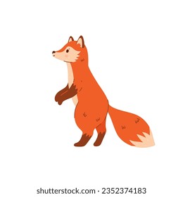 Cute cartoon fox is standing isolate on white background. Vector graphics.