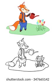 Cute cartoon fox in trousers watering flowers. Isolated on white background. Have a nice day!