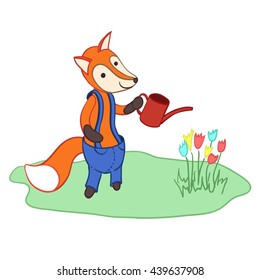 Cute cartoon fox in trousers watering flowers. Isolated on white background. Have a nice day!