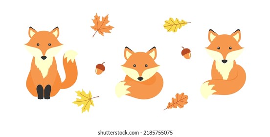 Cute cartoon foxes, acorns, maple and oak leaves, isolated on a white background. Vector set with adorable animal for cover, nursery decor, printing on kids t-shirts, clothes and bags. Design template
