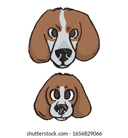 Cute cartoon foxhound puppy and adult hunting dog face vector clipart. Pedigree kennel baby doggie breed for dog lovers. Purebred doggy for pet parlor illustration mascot. Isolated canine hound. EPS 