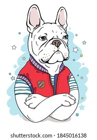 Cute cartoon french bulldog boy in a red stylish vest. Portrait of a dog. Stylish image for printing on any surface