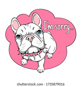 
Cute Cartoon French Bulldog With A Guilty Face. I'm Sorry Illustration