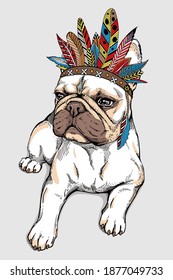 Cute cartoon french bulldog in indian headdress. Bright illustration in ethnic style. Stylish image for printing on any surface