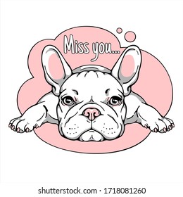 Cute Cartoon French Bulldog. Miss You Illustration