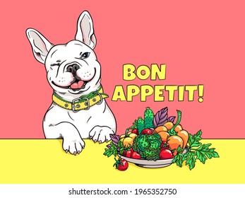 Cute cartoon french bulldog near a plate with different vegetables. A dog that loves healthy food. Bon appetit illustration	