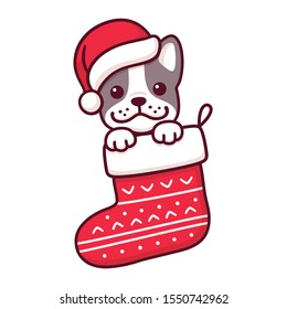 Cute cartoon French Bulldog puppy in Santa Claus hat inside hanging Christmas stocking. Merry Christmas greeting card with dog drawing in a red sock. Vector clip art illustration.