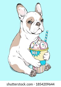 Cute cartoon french bulldog puppy with ice cream in a paper cup. Summer illustration. Stylish image for printing on any surface