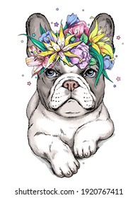 Cute cartoon french bulldog puppy in a floral wreath. Beautiful  animal with flowers. Stylish summer image for printing on any surface