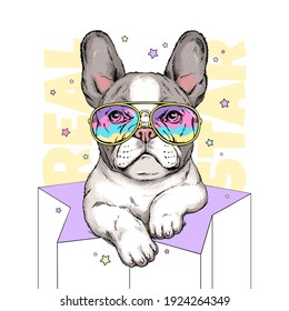Cute cartoon french bulldog puppy in bright sunglasses . Real star illustration. Stylish image for printing on any surface	