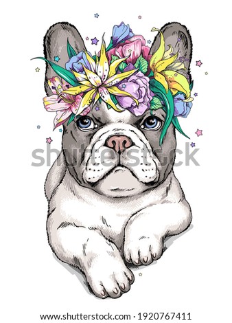 Cute cartoon french bulldog puppy in a floral wreath. Beautiful  animal with flowers. Stylish summer image for printing on any surface