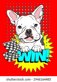 Cute cartoon french bulldog with racing flag. Win illustration. Stylish image for printing on any surface