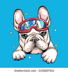 Cute cartoon french bulldog with ski goggles . Dog portrait in hand drawn style. Stylish image for printing on any surface