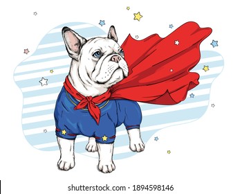 Cute Cartoon French Bulldog Superhero Clothes Stock Vector (Royalty ...