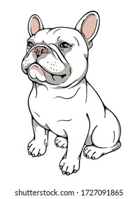Cute cartoon french bulldog. Vector illustration