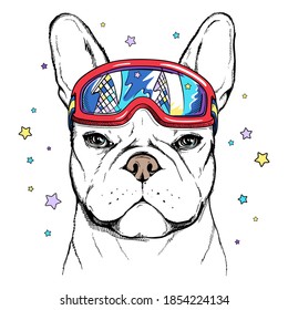 Cute cartoon french bulldog wearing ski goggles . Dog portrait in hand drawn style. Stylish image for printing on any surface