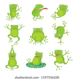 Cute cartoon frogs  Green croaking toad lotus leaves in pond  Vector animal characters set amphibian toad drawing  green frog collection illustration