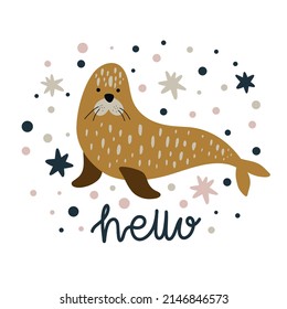 A cute cartoon fur seal surrounded by stars and dots with the inscription hello on an isolated white background. Childish print for children's clothing, poster, postcard. Vector illustration.