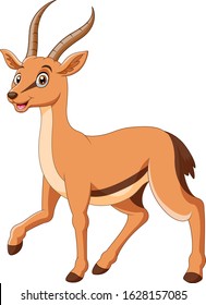 Cartoon Gazelle High Res Stock Images Shutterstock