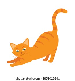 Cute cartoon ginger cat with green eyes isolated on white background. Vector