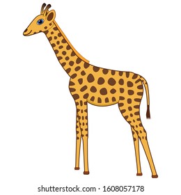 Cute cartoon giraffe Eps-10 vector illustration. Hand drawing design on isolated white background.