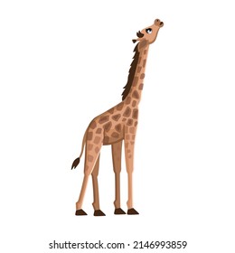 Cute cartoon giraffe on white background. Animals of Africa. Vector cartoon illustration.