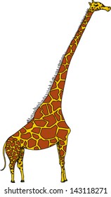 Cute cartoon giraffe standing over isolated white background