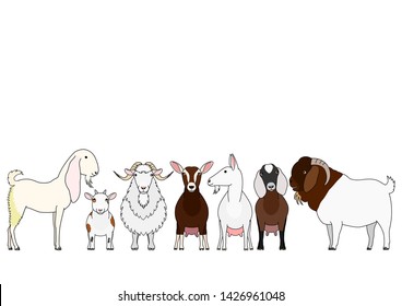 cute cartoon goat breeds group