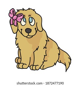 Cute cartoon golden retriever puppy with cute bow breed vector clipart. Pedigree kennel doggie breed. Purebred domestic puppy for pet parlor illustration mascot. Isolated canine fluffy. EPS 10. 