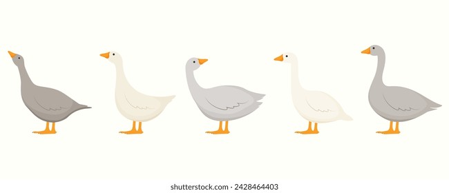 Cute cartoon goose icons set. Vector illustration