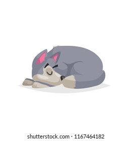 Cute cartoon gray dog sleep. Pet animal. Flat with simple gradient illustration. Farm animal. Vector drawing isolated on white background.