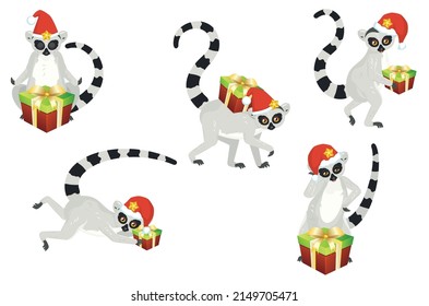 Cute caricatura de lemur gris catta lleva la ilustración de la colección Santa hat.