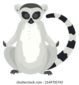 Cute cartoon gray lemur catta, ring tailed illustration.