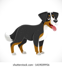 Cute cartoon Great Swiss Mountain Shepherd Dog isolated on white background