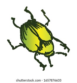 Cute cartoon green fruit beetle vector clipart. Garden pest bug. Athropod naive doodle of winged biological insect. Doodle of yard wildlife illustration. Isolated insect. EPS 10. 
