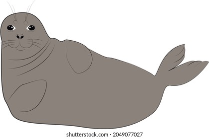 Cute Cartoon Grey Seal Isolated On White Background, Vector Illustration