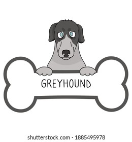 Cute cartoon Greyhound on collar dog tag vector clipart. Purebred doggy identification medal for pet id. Domestic dog for pet pooch. 