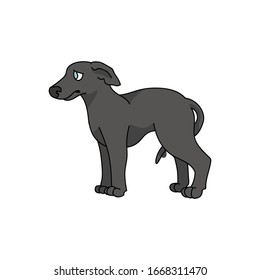 Cute cartoon greyhound puppy breed vector clipart. Pedigree kennel racing hound for dog lovers. Purebred domestic pooch for pet parlor illustration. Isolated fast canine. EPS 10. 