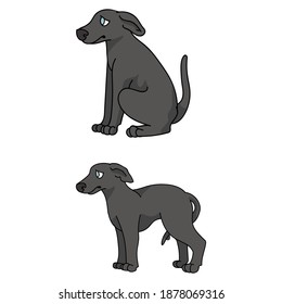 Cute cartoon Greyhound puppy vector clipart. Pedigree kennel doggie for pet parlor mascot. Purebred domestic sighthound dog training for kennel club illustration. Isolated canine breed. 