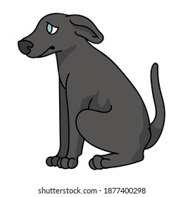 Cute cartoon Greyhound sitting puppy vector clipart. Pedigree kennel doggie breed for kennel club. Purebred domestic dog training for pet parlor illustration mascot. Isolated canine breed. 