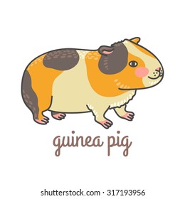 Cute cartoon guinea pig with a blush. Isolated with the inscription