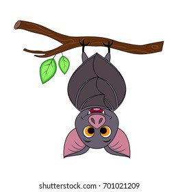 Cute cartoon Halloween bat hanging tree  Sleeping bat  Vector illustration  Isolated white background 