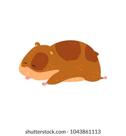 Cute cartoon hamster character sleeping, funny brown rodent animal pet vector Illustration on a white background