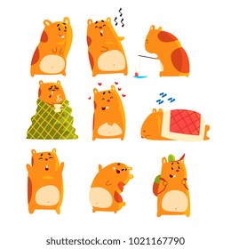 Cute cartoon hamster characters set, funny animal showing various actions and emotions vector Illustrations